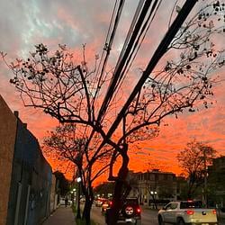 REDSKY