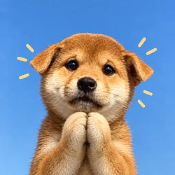 PLEASEINU