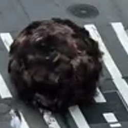 TUMBLEHAIR
