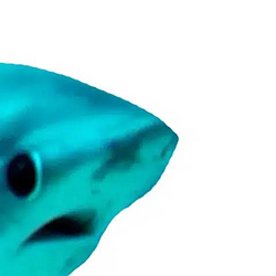 uhhhhhhhhhhh / SOL