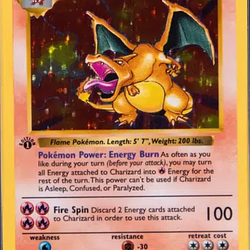 Buy The Charizard