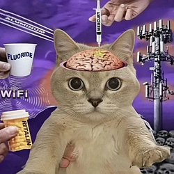 psyopcat / SOL