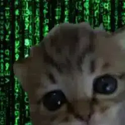 cute animal tek