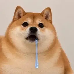 SI
