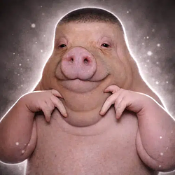 PIGGER