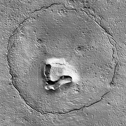 MarsBear / SOL
