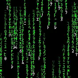 Simulation