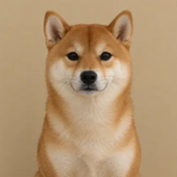 Inu