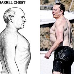 BARREL