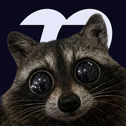 Raccoon