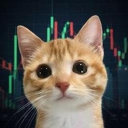 STONKCAT