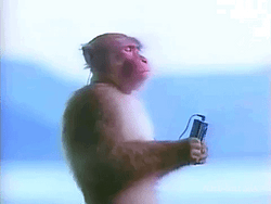 144p