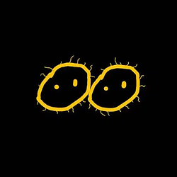 Pair / SOL