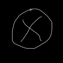 XMUNEY / SOL