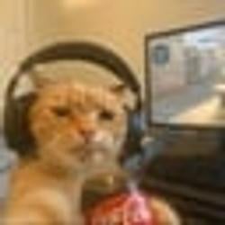 coolcat