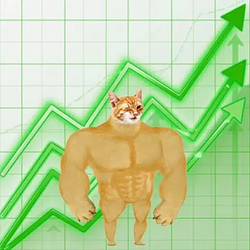 Trader Cat