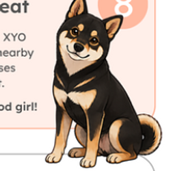 Suki