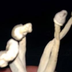 Shroom / SOL