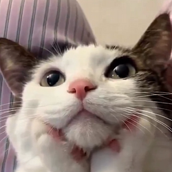adorable