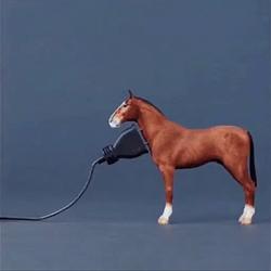 HP