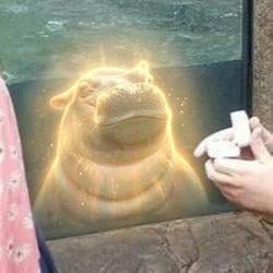 FIONA / SOL