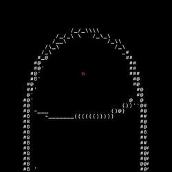 D / SOL