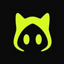 Ducat logo