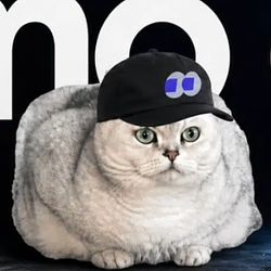 FOMOCAT