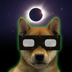 Glasses / SOL