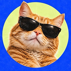 CATS / SOL