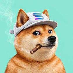 DOGE