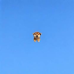 mINUscule
