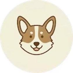 Corgi