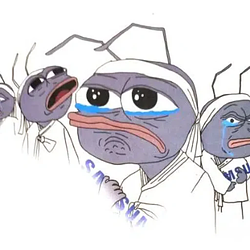 개미