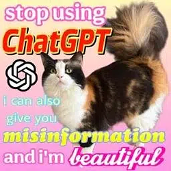 Chai