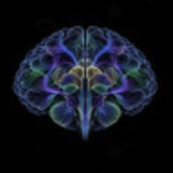 jevbrain