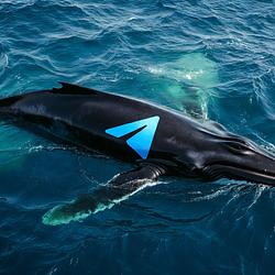 teleWHALE / SOL