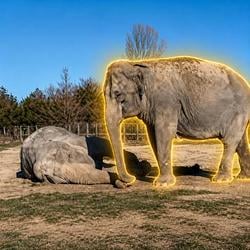 MAGDA