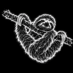 Sloth