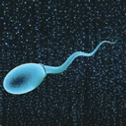 Quantcum
