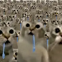 BILLI / SOL