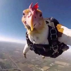 SkyCluck / SOL