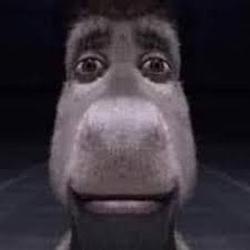 donkey