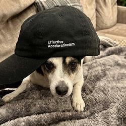 E/DOG