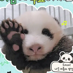 Shubao