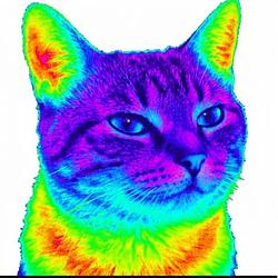 MEOWINK
