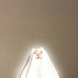 ㅤㅤㅤ