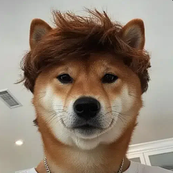 BRYCE INU