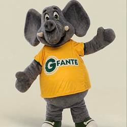 Fante