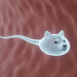 spermINU
